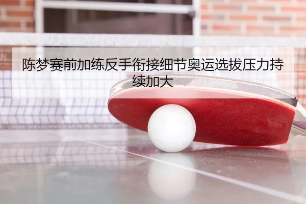 陈梦赛前加练反手衔接细节奥运选拔压力持续加大